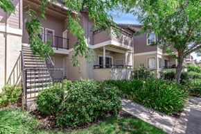 Pittsburg apartment for rent - A tree in front of a building with a metal staircase.