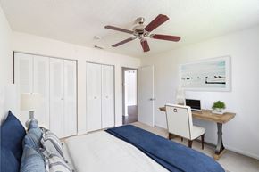 Sarasota apartment for rent - View of Timber Chase Model Bedroom, staged with bed, desk, chair, and ceiling fan
