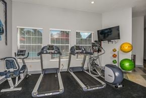Valrico apartment for rent - Bloomingdale Woods Apartments Valrico Florida Fitness Center Treadmills, Bike, Elliptical, and Medicine Balls with TV