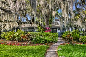 Brandon apartment for rent - View of Brookside Manor Clubhouse and walkway with vivid green grass and red and pink foliage, underneath a mature tree canopy
