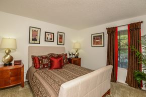 Tampa apartment for rent - Park Avenue Apartments Tampa Florida Model Bedroom