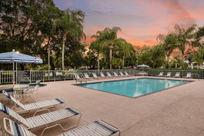 Sarasota apartment for rent - Timber Chase at Sarasota Bay Sarasota Florida Pool Deck with Sunset in Background