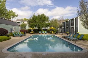 River Ridge apartment for rent - A small pool surrounded by lawn chairs and trees.