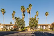 Visalia apartment for rent - A row of palm trees in front of a building.