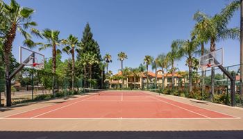 Tennis court