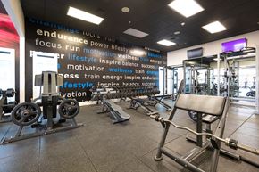 Denver apartment for rent - a view of the fitness center with weights and cardio equipment in a gym