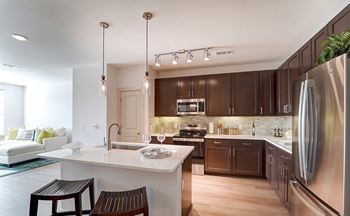 Spacious gourmet kitchens