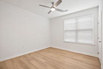 Ceiling fans*