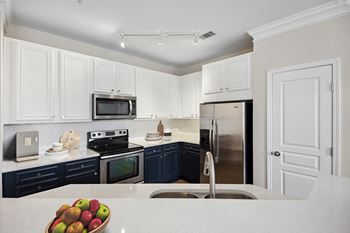 Sleek energy efficient appliances