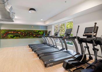 State-of-the-art fitness center