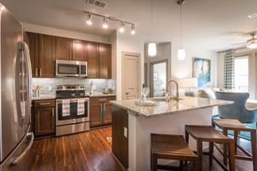 Charleston apartment for rent - A modern kitchen with wooden cabinets and a granite countertop.