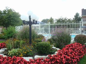 Indianapolis apartment for rent - Windsor Court Pool
