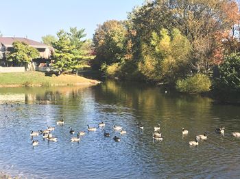 Stocked lakes for fishing