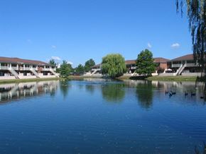 Mishawaka apartment for rent - a pond with houses in the background and ducks in the water