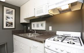 Mishawaka apartment for rent - a kitchen with a stove and a sink and a microwave