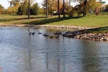 Stocked lakes for fishing