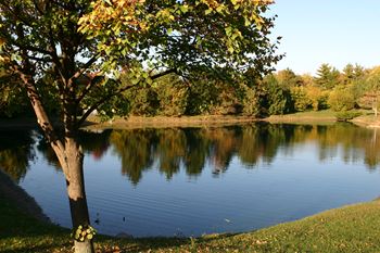 Stocked lakes for fishing