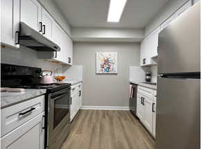 Stone Mountain apartment for rent - sca int kit