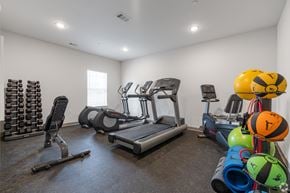Arlington apartment for rent - A well-equipped gym with treadmills, weights, and exercise balls.
