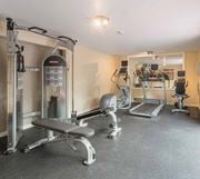 Mountlake Terrace apartment for rent - a gym with weights and cardio equipment in a home gym at Quartz Creek, Mountlake Terrace