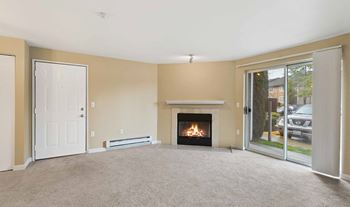 Fireplace living