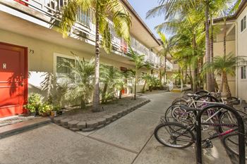 A row of bicycles parked outside a building with palm trees
