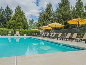 Wenatchee apartment for rent - Outdoor pool with plenty of lounge chairs and yellow umbrellas.at Cedarwood, Washington