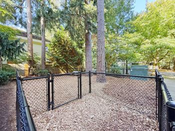 Dog park
