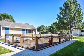 Dog park