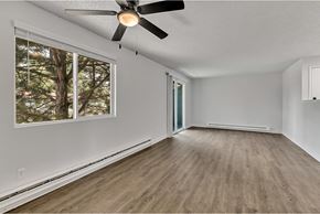 Fife apartment for rent - A room with a ceiling fan and a window showing trees outside.