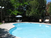 Twin Falls apartment for rent - Swimming pool with umbrella seating, swing bench, surrounded by manicured lawn and large green trees.at Laurel Park, Twin Falls