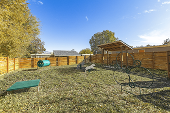 Dog run and play area