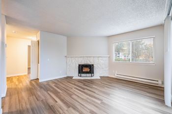 Wood-burning fireplace