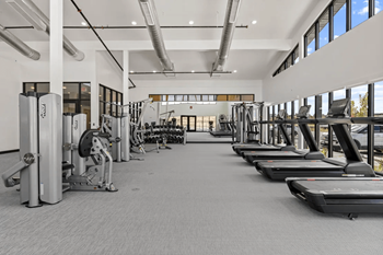 Spacious gym with treadmills