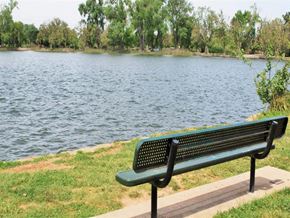 Lodi apartment for rent - Lodi Lake