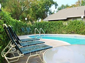 Lodi apartment for rent - Outdoor swimming pool with chaise lounge chairs