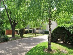 Lodi apartment for rent - Pathway to apartments with trees and grass