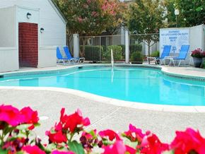 Lodi apartment for rent - Outdoor swimming pool area with chairs and flowers