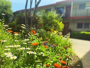Sacramento apartment for rent - Flowers and landscaping