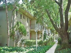 Sacramento apartment for rent - Lush landscaping next to apartments