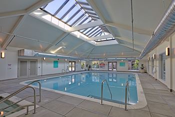 Heated indoor swimming pool & spa