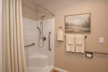 Accessible bathroom with grab bars and shower