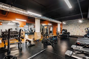 A gym with weights and cardio equipment and a rock climbing wall