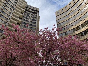 Towson apartment for rent - two apartment buildings at Hampton Plaza Apartments, Towson, MD