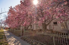 Lincoln apartment for rent - Barr Terrace Apartments