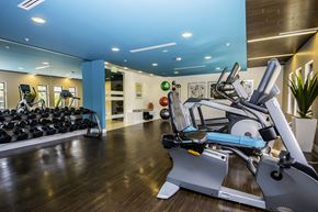 Encino apartment for rent - Fitness center with cardio and weightlifting equipment
