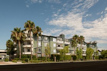 Burbank townhouse for rent - A modern apartment building with palm trees in front.