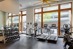 Berkeley apartment for rent - A gym with treadmills, elliptical machines, and a fan.