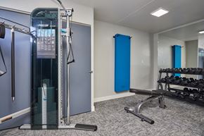 Los Angeles apartment for rent - Fitness Center with Weights and Weightlifting Equipment