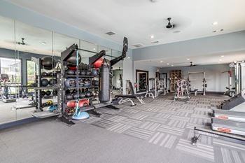 Well-equipped gym